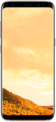 Смартфон Samsung Galaxy S8 Dual 64GB / G950FD (топаз)
