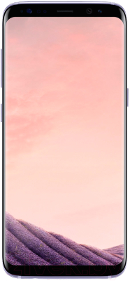 Смартфон Samsung Galaxy S8 Dual 64GB / G950FD (аметист)