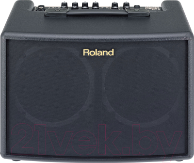 Комбоусилитель Roland AC-60