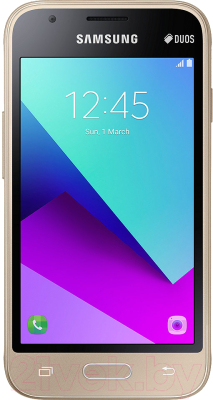 Смартфон Samsung J1 Mini Prime 2016 / J106F (золото)