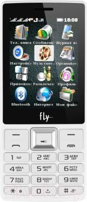 Мобильный телефон Fly TS112 (белый)