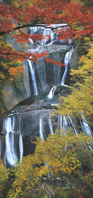 Фотообои листовые Твоя планета Люкс Водопад (97x204)