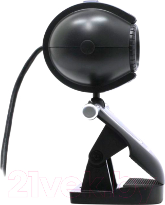 Веб-камера A4Tech PK-30F (черный)
