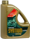 Моторное масло Petronas Syntium 5000 CP 5W30 70263M12EU/18315019 (5л) - 