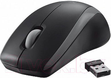 Мышь Trust Carve Wireless Black 19932