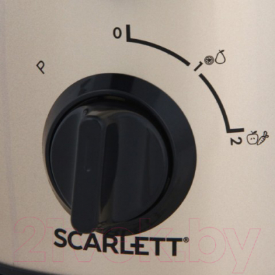 Соковыжималка электрическая Scarlett SC-JE50S34 (золото)
