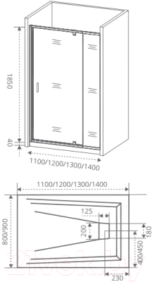 Душевая дверь Good Door Orion WTW-PD-100-G-CH