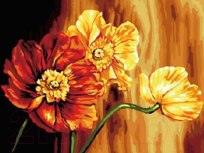 Картина по номерам Picasso Знойные цветы (PC3040065)