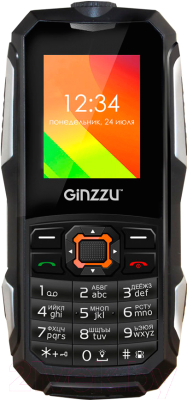 Мобильный телефон Ginzzu R50 (черный)