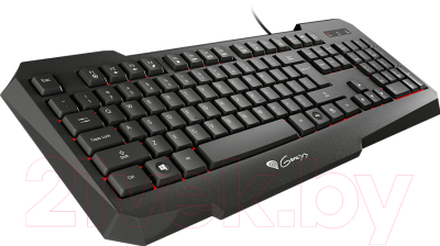 Клавиатура GENESIS RX11 / NKG-0765