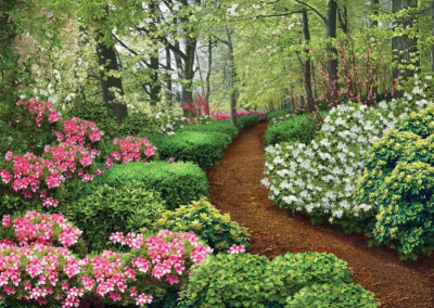 Фотообои листовые Твоя планета Люкс Весенний сад (272x194)