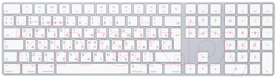 Клавиатура Apple Magic Keyboard / MQ052RS/A