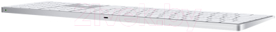 Клавиатура Apple Magic Keyboard / MQ052RS/A