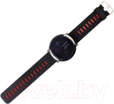 Умные часы Xiaomi Amazfit Smartwatch (черный)