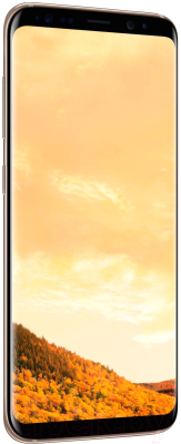 Смартфон Samsung Galaxy S8+ Dual 64GB / G955FD (желтый топаз)