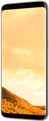 Смартфон Samsung Galaxy S8+ Dual 64GB / G955FD (желтый топаз)