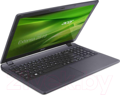 Ноутбук Acer Extensa EX2519-P2H5 (NX.EFAEU.020)