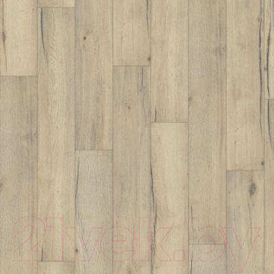 Ламинат Egger Flooring Classic Aqua+ Дуб Вэлли дымчатый (H1002)