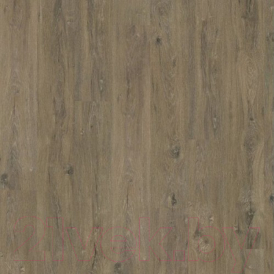 Ламинат Egger Flooring Classic Дуб Ла-Манча дымчатый Н1004