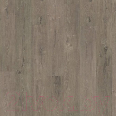 Ламинат Egger Flooring Classic Дуб Ла-Манча серый Н1017