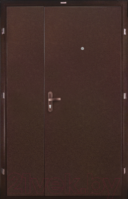 Входная дверь Промет Б2 Профи DL (125x205, левая)