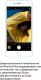 Миниатюра изображения товара Смартфон Apple iPhone 8 Plus 64Gb / MQ8N2 (золото)