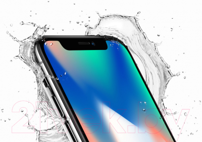 Смартфон Apple iPhone X 64Gb / MQAC2 (серый космос)