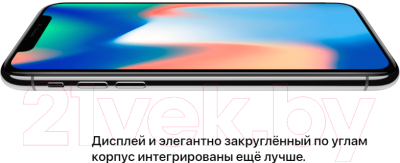 Смартфон Apple iPhone X 64Gb / MQAC2 (серый космос)