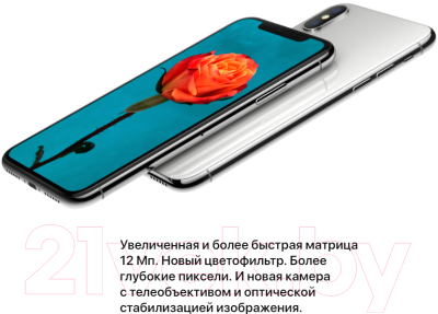 Смартфон Apple iPhone X 256Gb / MQAG2 (серебристый)