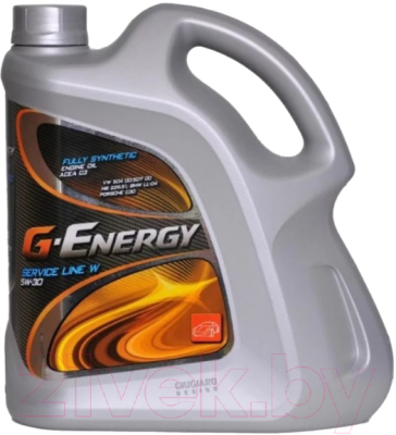 Моторное масло G-Energy Service Line W 5W30 / 253140181 (4л)