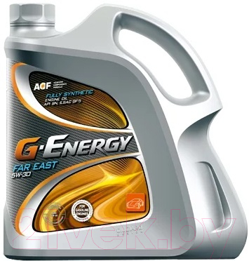 Моторное масло G-Energy Far East 5W30 / 253141935 (4л)