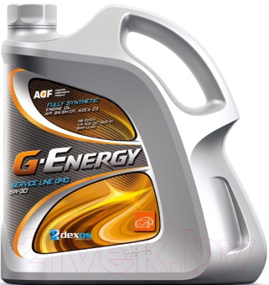 Моторное масло G-Energy Service Line GMO 5W30 / 253142092 (4л)