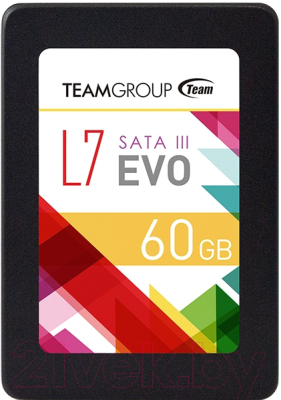 SSD диск Team L7 Evo 60GB (T253L7060GTC101)