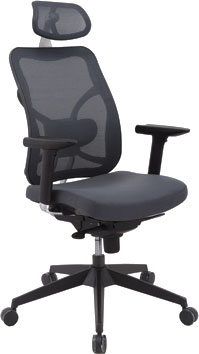 Кресло офисное Office4you SAMUEL 20012 - общий вид