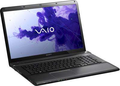 Ноутбук Sony VAIO SVE1713A4RB - общий вид 