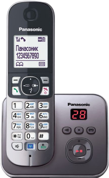 Беспроводной телефон Panasonic KX-TG6821 (серый металлик) - общий вид