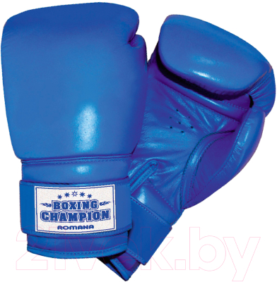 Боксерские перчатки Romana ДМФ-МК-01.70.00 (темно-синий)