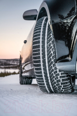 Зимняя шина Nokian Tyres WR A4 235/55R17 103V