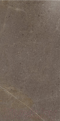 Плитка Italon Контемпора Берн (1200x600)