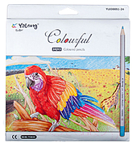 Набор цветных карандашей Yalong YL 83031-18