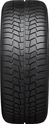 Зимняя шина VIKING WinTech 205/60R16 96H