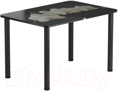 Обеденный стол Васанти Плюс ПРФ 120x80 (черный/53)