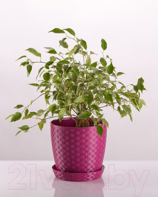 Изображение товара Кашпо BigPlast Stars Ratan 39101 (розовый)