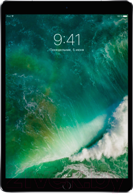 Планшет Apple iPad Pro 10.5 256GB / MPDY2 (серый космос)