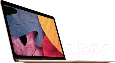 Ноутбук Apple MacBook (MNYK2)
