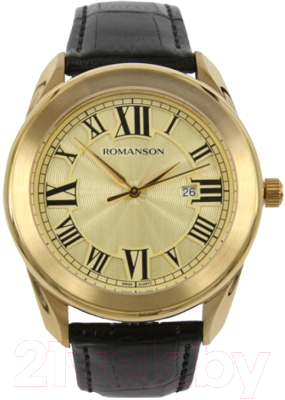 Часы наручные мужские Romanson TL2615MGGD