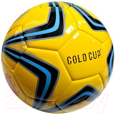 Мяч для футзала Gold Cup FS10