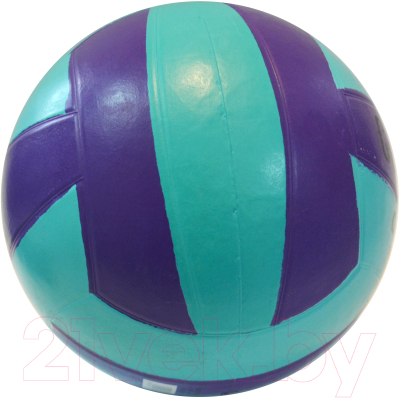 Мяч волейбольный Gold Cup RVB-18