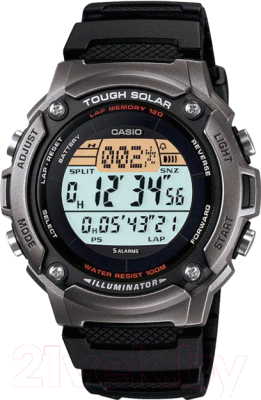 Часы наручные мужские Casio W-S200H-1AVEF