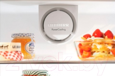 Холодильник с морозильником Liebherr C 3523
